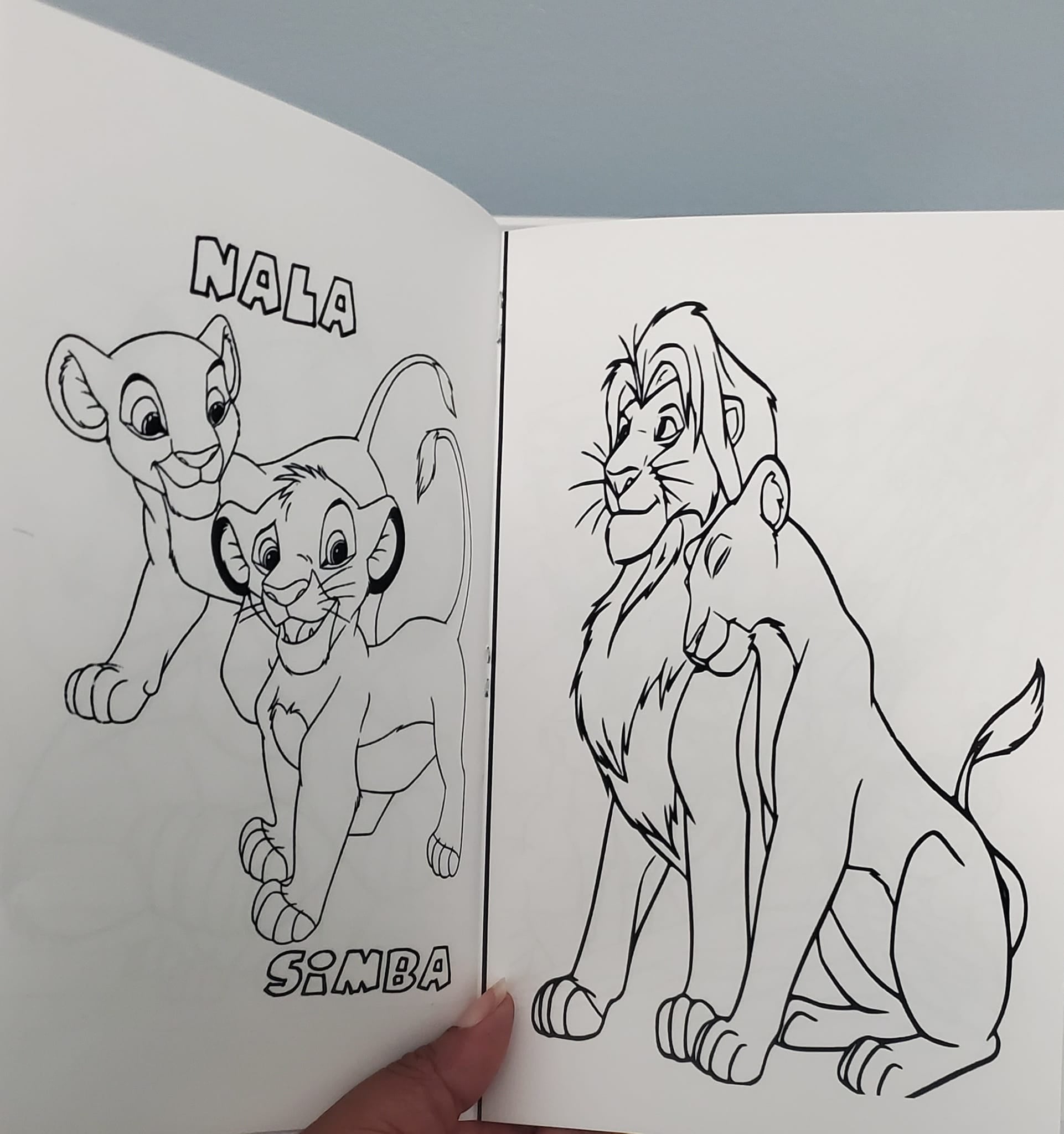 Coloring Book Set